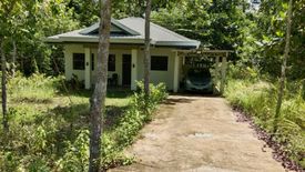 2 Bedroom House for sale in Poblacion, Bohol