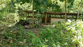 2 Bedroom House for sale in Poblacion, Bohol