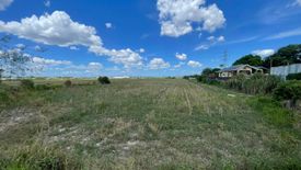 Land for sale in San Nicolas Balas, Tarlac