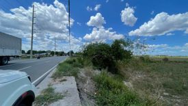 Land for sale in San Nicolas Balas, Tarlac