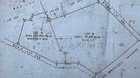 Land for sale in San Agustin, Pampanga