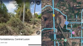 Land for sale in San Jose, Pampanga