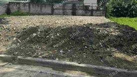 Land for sale in Pinagsama, Metro Manila