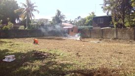 Land for sale in Mayondon, Laguna