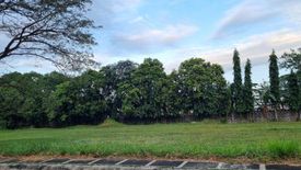 Land for sale in Alabang, Metro Manila