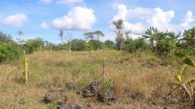 Land for sale in Union, Cebu