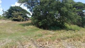 Land for sale in Malineng, Nueva Ecija