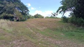 Land for sale in Malineng, Nueva Ecija
