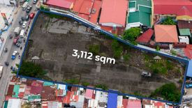 Land for sale in Don Bosco, Metro Manila