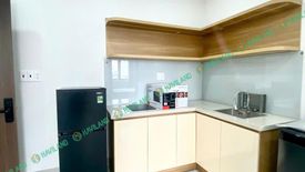 Cho thuê căn hộ 1 phòng ngủ tại Mân Thái, Quận Sơn Trà, Đà Nẵng