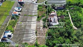 Tanah dijual dengan  di Beraban, Bali