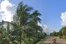 Land for sale in Old Sagay, Negros Occidental