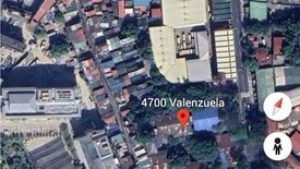 Land for sale in Santa Mesa, Metro Manila near LRT-2 V. Mapa
