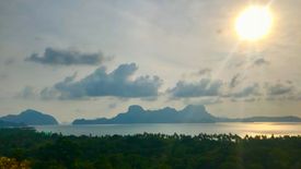 Land for sale in Pasadeña, Palawan