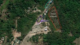 Land for sale in Pasadeña, Palawan