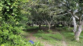 Land for sale in San Jose, Palawan