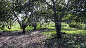 Land for sale in San Jose, Palawan