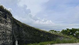 Land for sale in Guadalupe, Cebu
