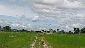 Land for sale in San Antonio, Tarlac
