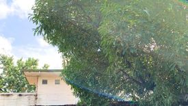 Land for rent in Zapatera, Cebu