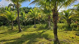 Land for sale in Poblacion, Bohol