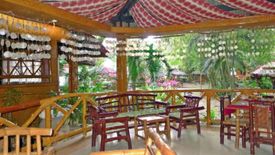 Land for sale in San Pedro, Palawan