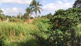 Land for sale in Ponderosa Leisure Farms, Narra II, Cavite