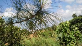 Land for sale in Ponderosa Leisure Farms, Narra II, Cavite