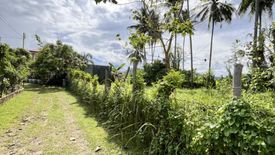 Land for sale in Balugo, Negros Oriental