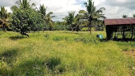 Land for sale in Palale Ibaba, Quezon