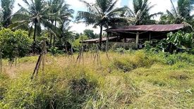 Land for sale in Palale Ibaba, Quezon