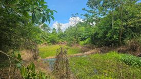 Land for sale in Kinan-Oan, Bohol
