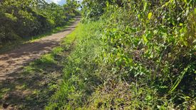 Land for sale in Cambangay Norte, Bohol