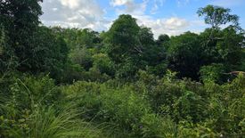 Land for sale in Cambangay Norte, Bohol