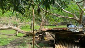 Land for sale in Poblacion, Bohol