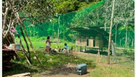 Land for sale in Poblacion, Bohol