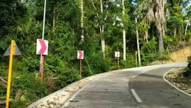 Land for sale in Candasag, Bohol