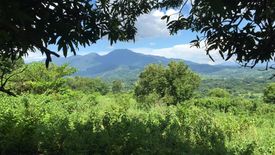 Land for sale in Binaritan, Bataan