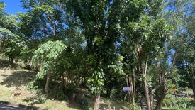 Land for sale in Dela Paz, Rizal