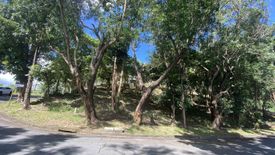 Land for sale in Dela Paz, Rizal