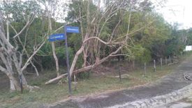 Land for sale in Latag, Batangas