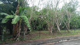 Land for sale in Latag, Batangas