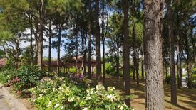 Land for sale in Ponderosa Leisure Farms, Narra II, Cavite