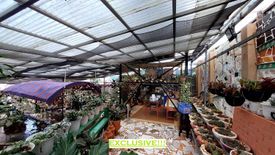 21 Bedroom House for sale in Liwanag-Loakan, Benguet