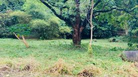 Land for sale in Antipolo, Rizal