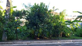 Land for sale in Santa Ana, Rizal