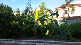 Land for sale in Santa Ana, Rizal