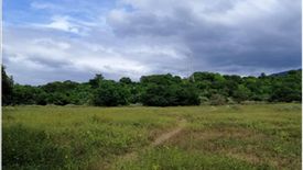 Land for sale in Nagbalayong, Bataan
