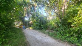 Land for sale in San Isidro, Bohol