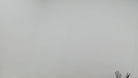 1 Bedroom Condo for sale in Alang-Alang, Cebu